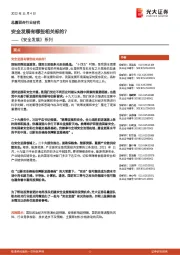 《安全发展》系列:安全发展有哪些相关标的?