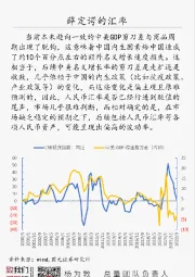 国元总量每日一图：薛定谔的汇率