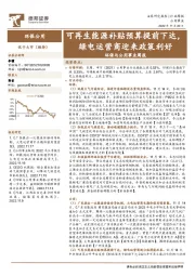 环保与公用事业周报：可再生能源补贴预算提前下达，绿电运营商迎来政策利好