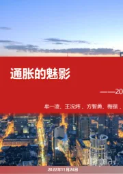 2023年A股年度策略：通胀的魅影