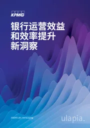 银行运营效益和效率提升新洞察