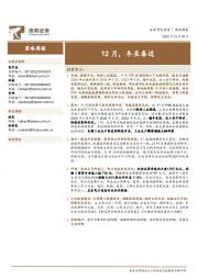 策略周报：12月，冬至春近