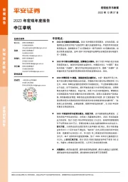 2023年宏观年度报告：中江举帆