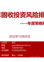 年度策略报告姊妹篇：2023年固收投资风险排雷手册