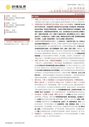 A股策略专题报告：上证50的盛宴
