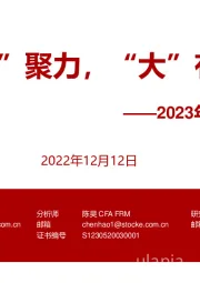 2023年权益策略展望：凝“新”聚力，“大”有可为