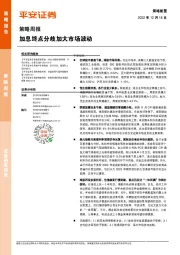 策略周报：加息终点分歧加大市场波动