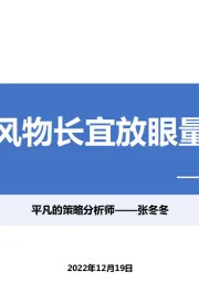 2023年A股投资策略：风物长宜放眼量