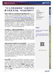 “扩大内需战略规划”长期利好消费力恢复与升级，但见效仍需时日