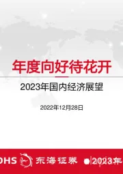 2023年国内经济展望：年度向好待花开