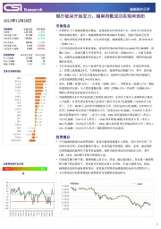越南股市日评