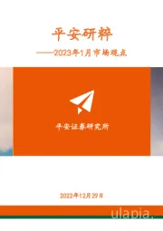 2023年1月市场观点：平安研粹