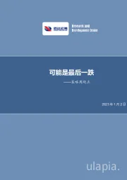 策略周观点：可能是最后一跌