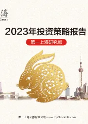 2023年投资策略报告