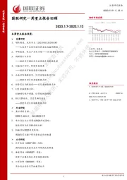 国联研究一周重点报告回顾