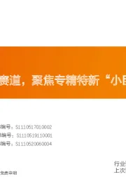 新兴产业:布局优质新兴赛道,聚焦专精特新“小巨人”!