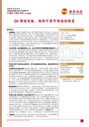 Q4增速放缓，期待中国市场强劲修复