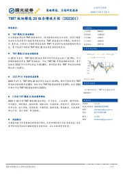 TMT板块精选20组合绩效月报