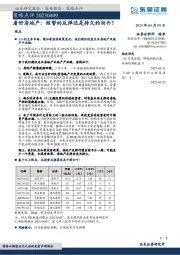 看好房地产：短暂的反弹还是持久的回升？