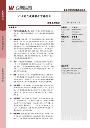 策略跟踪报告：行业景气度观察之下游行业