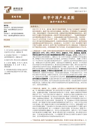 数字中国系列二：数字中国产业星图