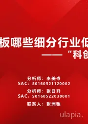 “科创牛”系列五：科创板哪些细分行业低估？