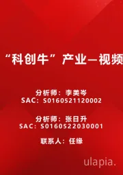 掘金“科创牛”产业—视频监控