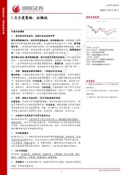 投资策略专题报告：5月月度策略：拉锯战