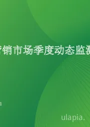 2023Q1中国营销市场季度动态监测报告
