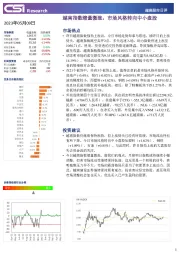 越南股市日评