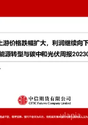 能源转型与碳中和光伏周报：光伏上游价格跌幅扩大，利润继续向下转移