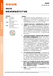 策略周报：政策加码新能源汽车产业链