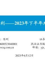 2023年下半年A股投资策略展望：石以砥焉,化钝为利