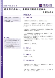 定量策略周报：弱反弹仍在路上，看好强预期弱现实板块