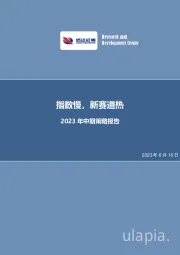 2023年中期策略报告：指数慢，新赛道热