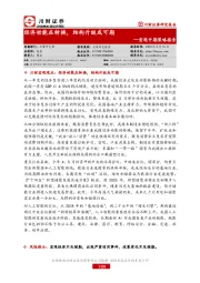 宏观中期策略报告：经济动能在转换，结构升级或可期