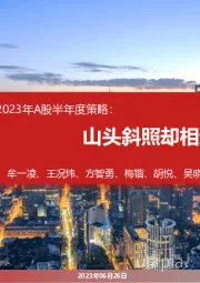 2023年A股半年度策略：山头斜照却相迎