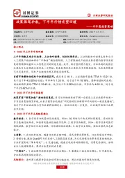 半年度投资策略：政策保驾护航，下半年行情有望回暖