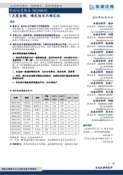 策略深度报告:7月度金股:确定性与不确定性