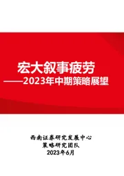 2023年中期策略展望：宏大叙事疲劳