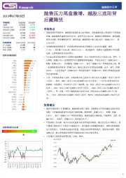 越南股市日评