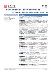 产业观察·科技前沿产业跟踪（第24期，2023年7月）：钠电池汽车有望叩响量产，各家厂商持续推出VRAR设备