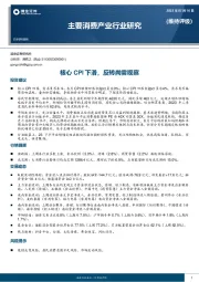 主要消费产业行业研究：核心CPI下滑，反转尚需观察