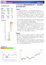 越南股市日评