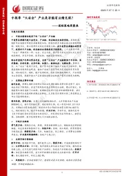 国联策略周聚焦：中报季“大安全”产业是否能有业绩兑现？