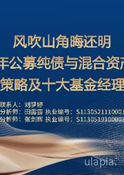 2023下半年公募纯债与混合资产策略基金投资策略及十大基金经理精选：风吹山角晦还明