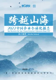 2022中国企业全球化报告：跨越山海