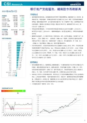 越南股市日评