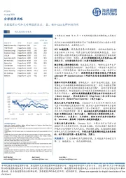 全球能源战略:美国能源公司加大对新能源关注;氢、锂和CCS发挥积极作用
