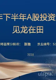 2023年下半年A股投资策略：见龙在田